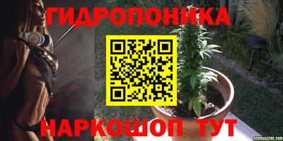 jwh Кингисепп