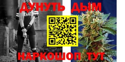 jwh Кингисепп