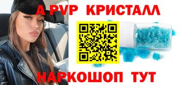 jwh Кингисепп