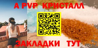 jwh Кингисепп