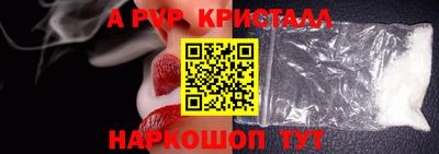 jwh Кингисепп