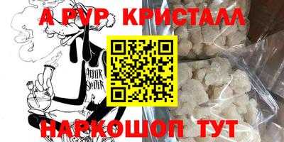 jwh Кингисепп