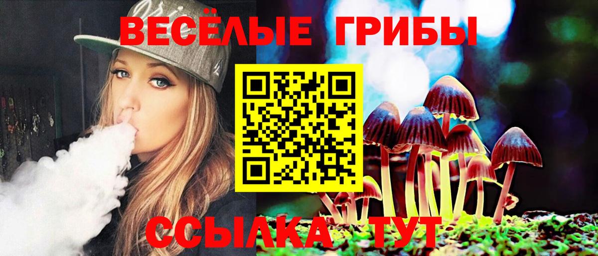 Кохма  Псилоцибиновые грибы мицелий  Галлюциногенные грибы Magic Shrooms  Вход с VPN 